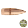 22 CAL 55 GR FMJBT GameKing (SGK)