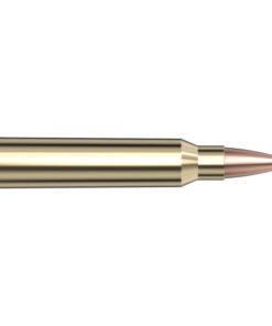223 Rem 53 gr V‑MAX® Superformance®