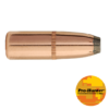 .30-30 Win 170gr Pro-Hunter (FN)