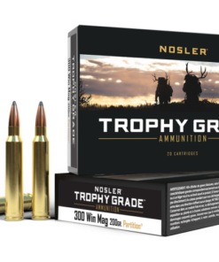 .300 Win Mag 200gr Partition