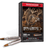 Ballistic Silvertip .243 Win
