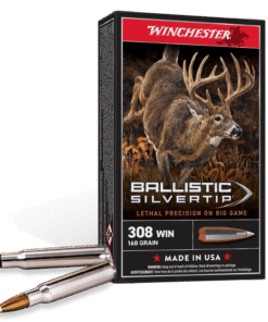 Ballistic Silvertip .243 Win